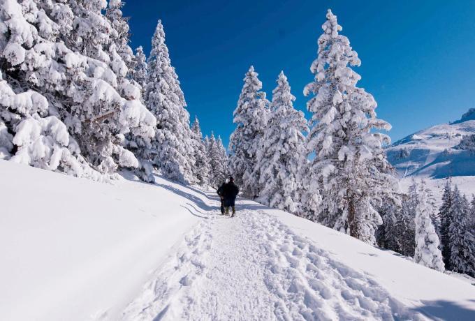 Votre Studio Balneo Bien-Etre A La Montagne Thollon-les-Memises エクステリア 写真
