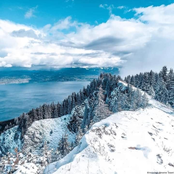 Votre Studio Balneo Bien-Etre A La Montagne Thollon-les-Memises エクステリア 写真